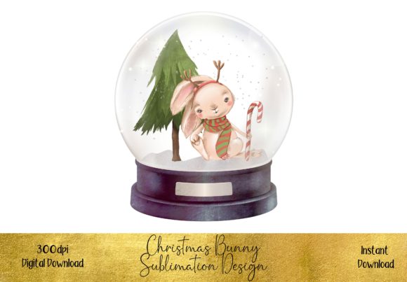 Christmas Bunny in a Snow Globe Illustrations